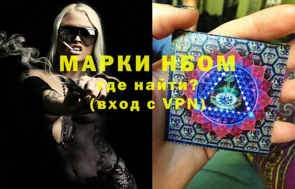 мет Алексин