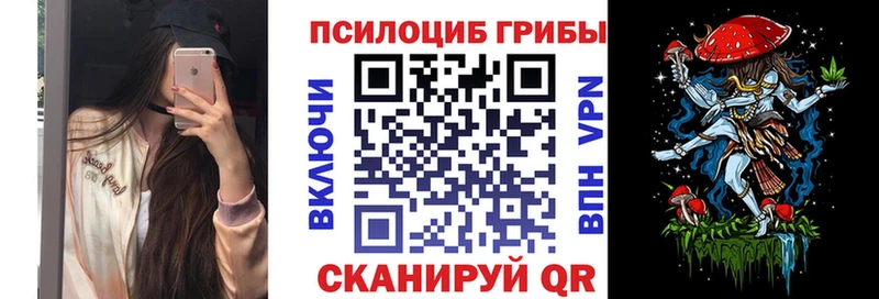 Галлюциногенные грибы Cubensis  где продают наркотики  Сунжа 